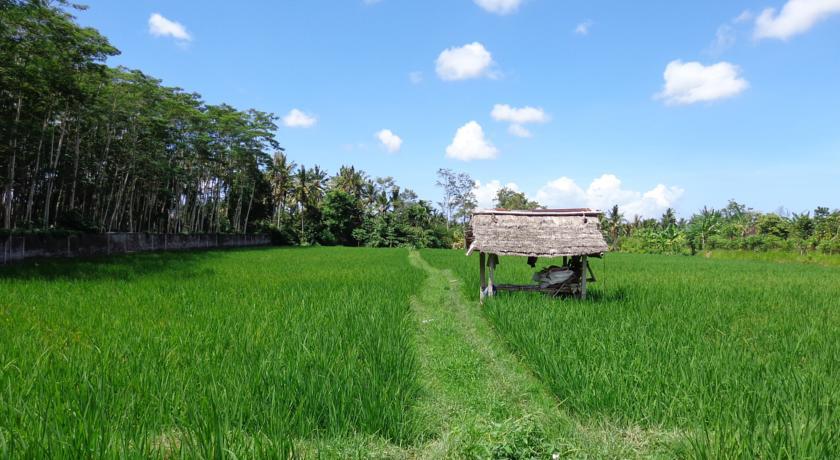 Angel House Ubud Eco Villa Extérieur photo